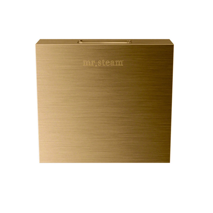 Mr.Steam Aroma Designer Finish SteamHead, Square
