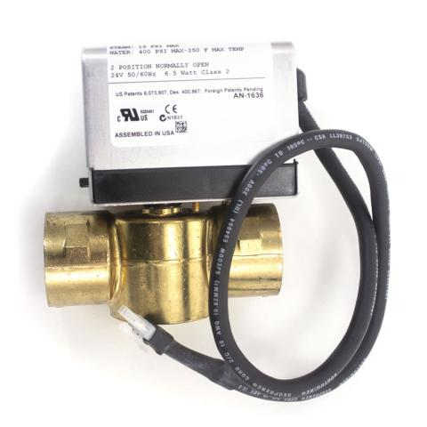 Mr. Steam AutoFlush Assembly 1 Inch NPT