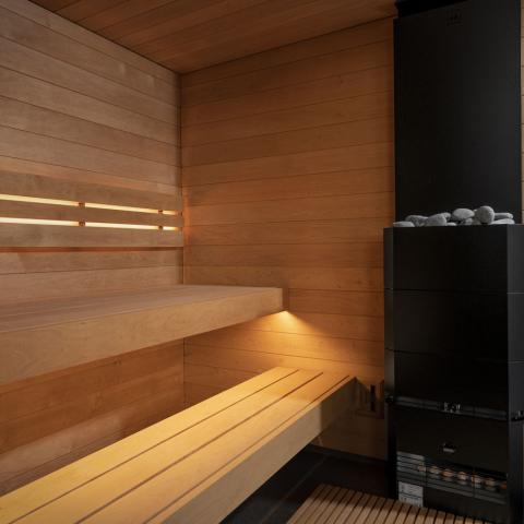 SaunaLife Model G6 Garden-Series Pre-Assembled Outdoor Sauna